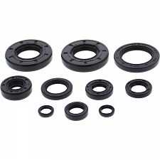 WRP 822993 Oil Seal Kit