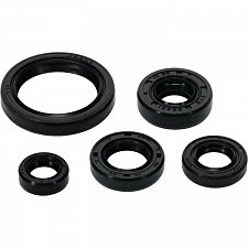 WRP 822994 Oil Seal Kit