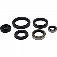 WRP 822995 Oil Seal Kit