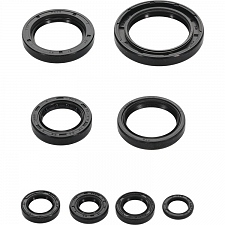 WRP 822996 Oil Seal Kit