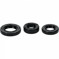 WRP 822999 Oil Seal Kit