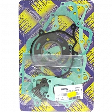 Engine Gasket Set - 009868