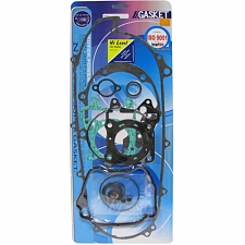 Engine Gasket Set - 009943