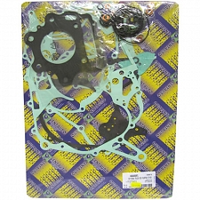 Engine Gasket Set - 009979