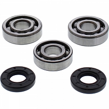 WRP 24-1117 Crank Shaft Bearing & Seal Kit