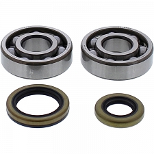 WRP 24-1119 Crank Shaft Bearing & Seal Kit