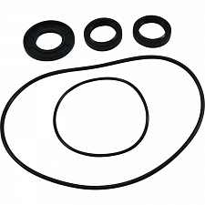 WRP 25-2053-5 Differential Seal Kit