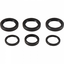 WRP 25-2065-5 Differential Seal Kit