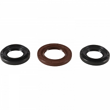 WRP 25-2109-5 Differential Seal Kit