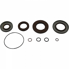 WRP 25-2114-5 Transaxle Seal Kit
