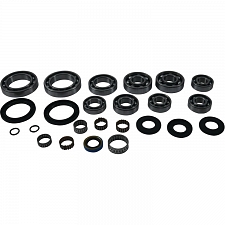 WRP 25-2130 Transaxle Bearing & Seal Kit