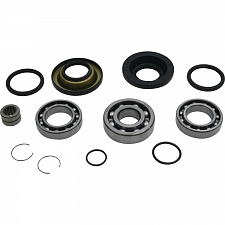 WRP 25-2137 Differential Bearing & Seal Kit