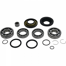 WRP 25-2138 Differential Bearing & Seal Kit