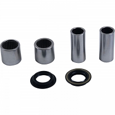 WRP 28-1225 Swing Arm Bearing Kit