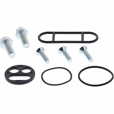WRP 60-1003 Fuel Tap Repair Kit