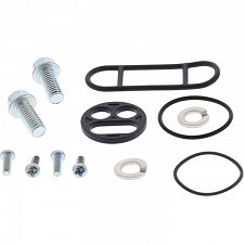 WRP 60-1018 Fuel Tap Repair Kit