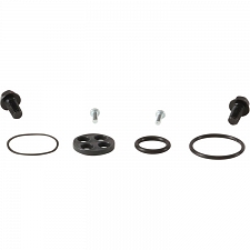 WRP 60-1060 Fuel Tap Repair Kit