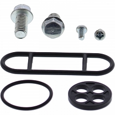 WRP 60-1079 Fuel Tap Repair Kit