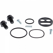 WRP 60-1119 Fuel Tap Repair Kit