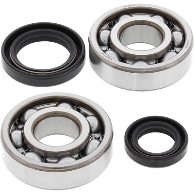 WRP 24-1003 Crank Shaft Bearing & Seal Kit