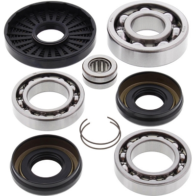 WRP 25-2016 Differential Bearing & Seal Kit