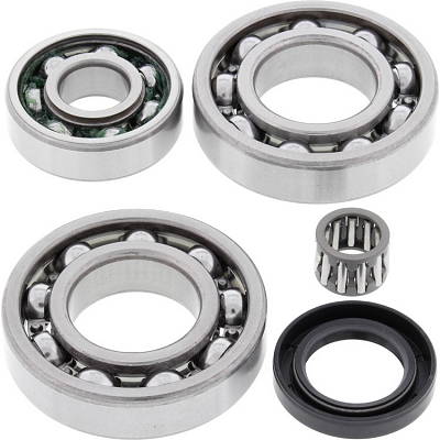 WRP 25-2018 Differential Bearing & Seal Kit