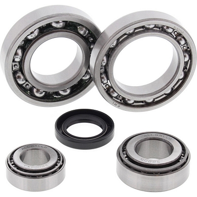 WRP 25-2019 Differential Bearing & Seal Kit