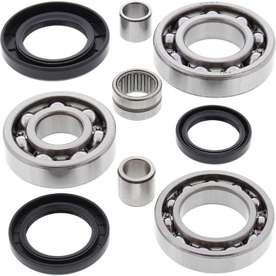WRP 25-2020 Differential Bearing & Seal Kit