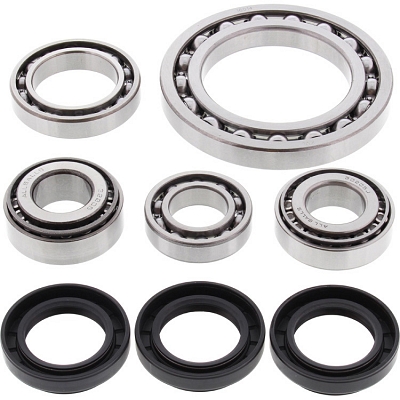 WRP 25-2022 Differential Bearing & Seal Kit