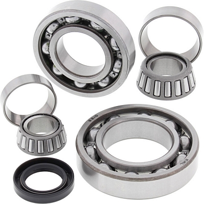 WRP 25-2038 Differential Bearing & Seal Kit