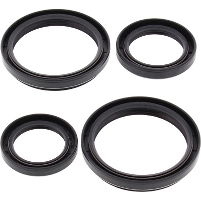 WRP 25-2050-5 Differential Seal Kit