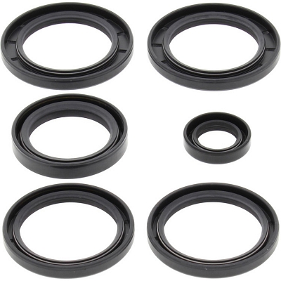 WRP 25-2062-5 Differential Seal Kit