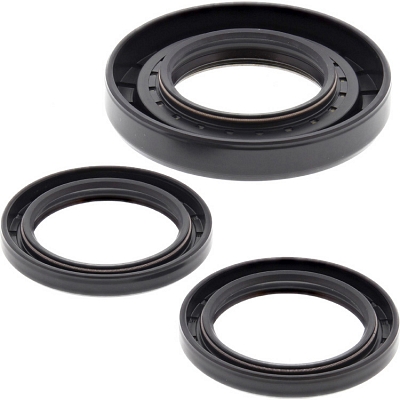 WRP 25-2079-5 Differential Seal Kit
