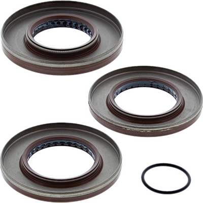 WRP 25-2080-5 Differential Seal Kit