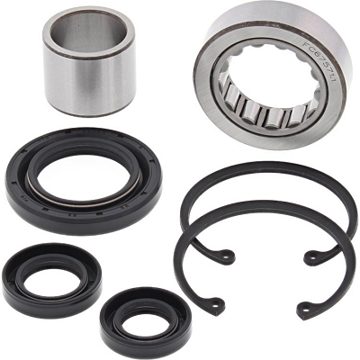 WRP 25-3101 OEM Style Primary Bearing and Seal Kit