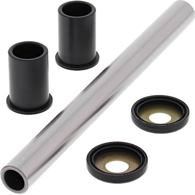 WRP 28-1010 Swing Arm Bearing Kit