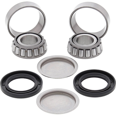 WRP 28-1055 Swing Arm Bearing Kit
