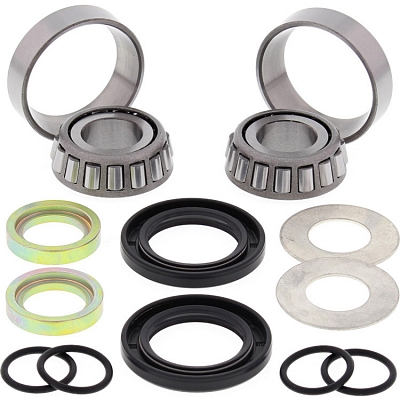 WRP 28-1059 Swing Arm Bearing Kit