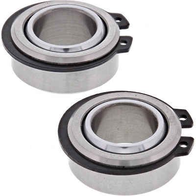 WRP 28-1139 Swing Arm Bearing Kit