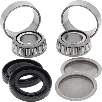 WRP 28-1155 Swing Arm Bearing Kit