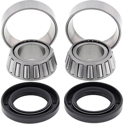 WRP 28-1171 Swing Arm Bearing Kit