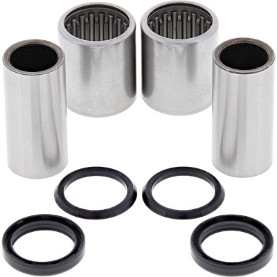 WRP 28-1193 Swing Arm Bearing Kit