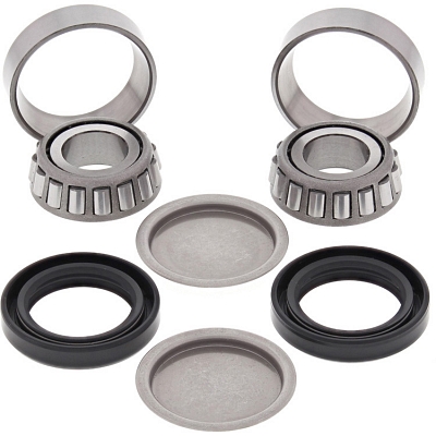 WRP 28-1214 Swing Arm Bearing Kit