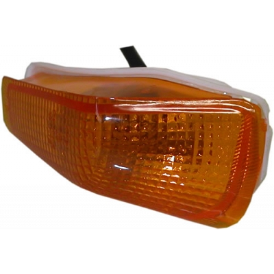 Indicator with Amber Lens - 018861