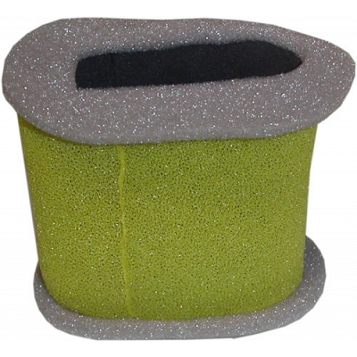 Air Filter - 016250