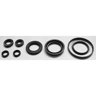 TourMax OSL-226 Engine Oil Seal Kit