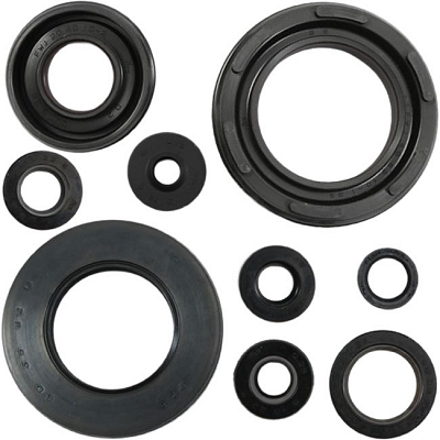 Engine Oil Seal Kit - 007897