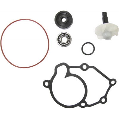 Water Pump Repair Kit - 007498