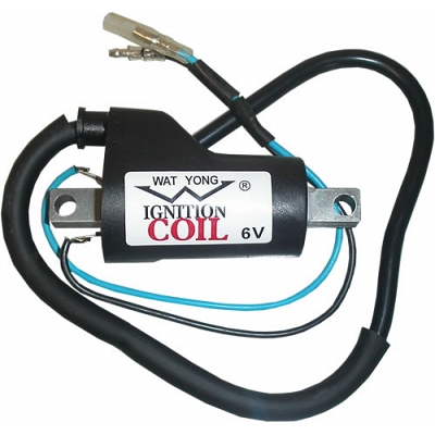 6v DC Ignition Coil Single Output + 2 Wires (90mm)