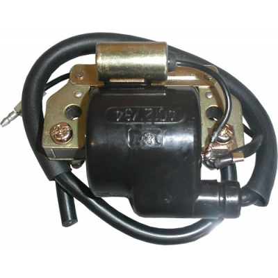 12v AC Ignition Coil & Condenser Single Output (60mm)